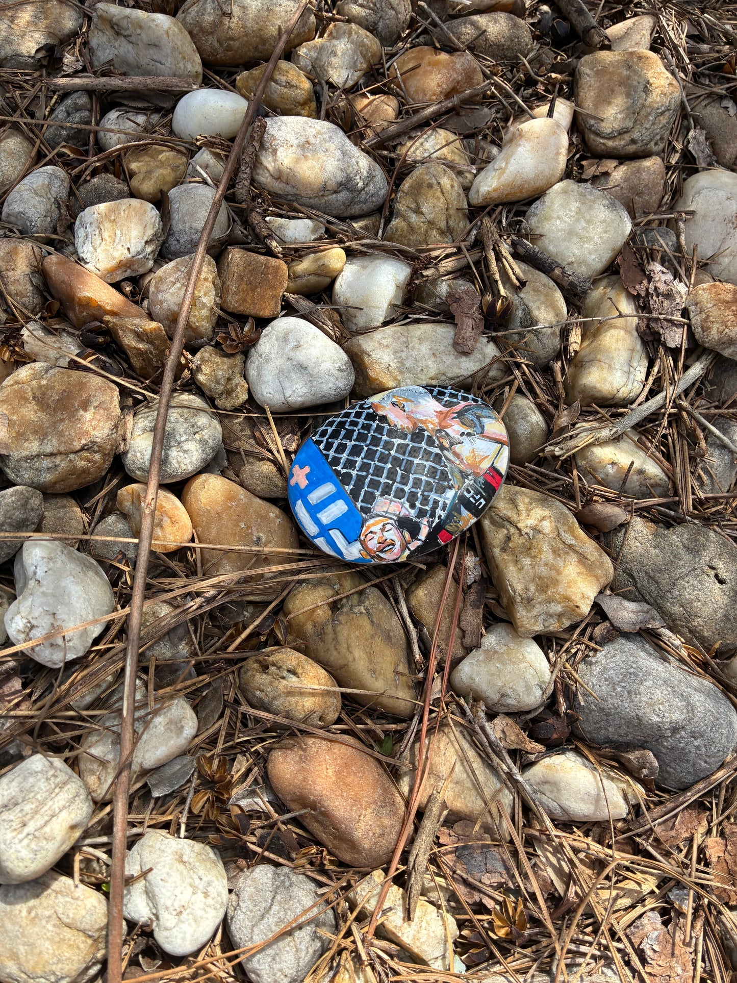 Michael Chandler / Charles Oliveira Handpainted Rock