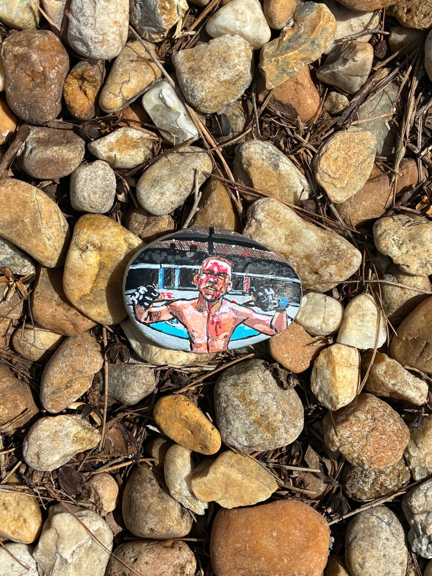 Nate Diaz Handpainted Rock