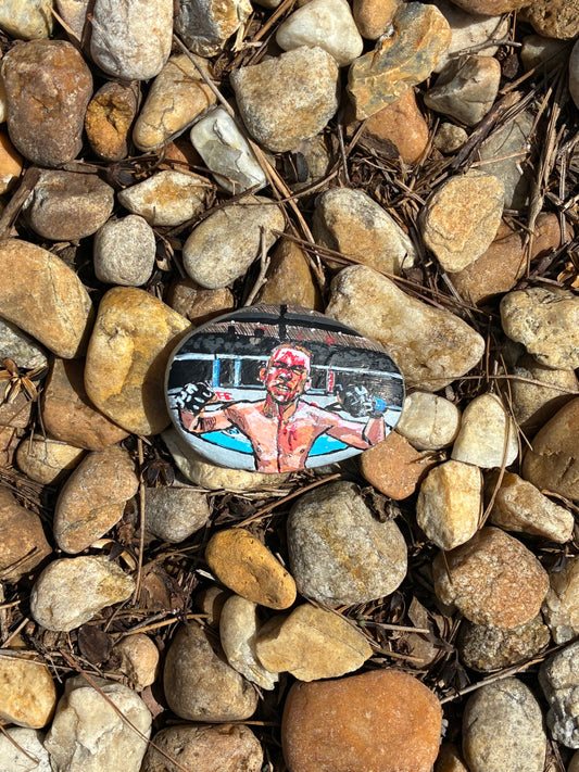 Nate Diaz Handpainted Rock
